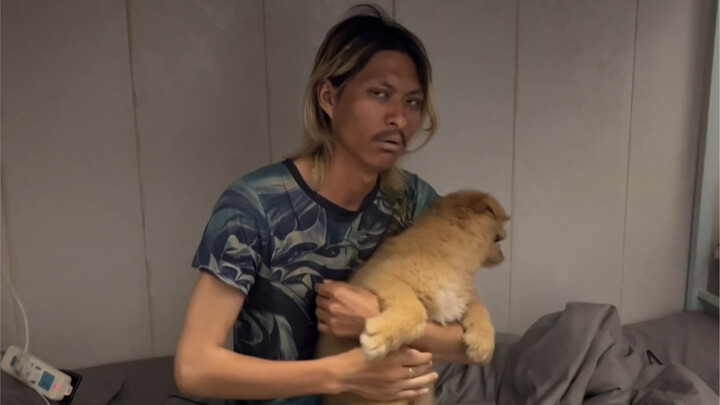 Han Xin on the Chinese server bullying Golden Furred on the Chinese server