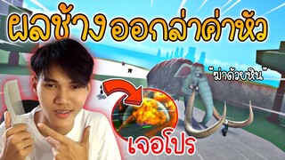 ล่าค่าหัวด้วยผลช้าง ขึ้น 3M ติดท็อป 56 ของเซิฟ แต่เจอโปรไล่ฆ่าเกือบไม่รอด!!🌟King Legacy