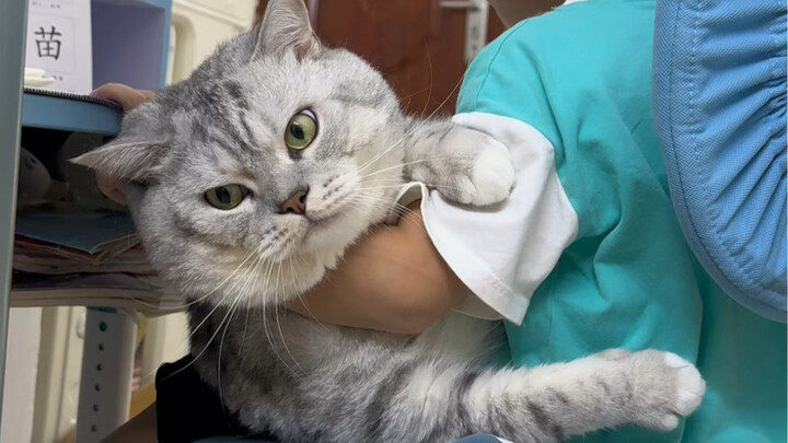 Em trai gầy gò, Đại Tráng thì hơi vạm vỡ, cho nên……