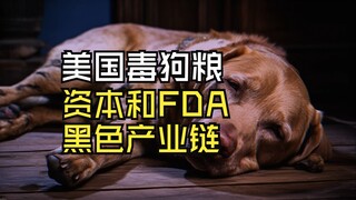 Vạch trần chuỗi công nghiệp đen sản xuất thức ăn độc hại cho chó tại Hoa Kỳ