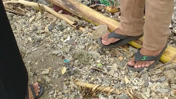 mencari batu karang. di pantai dekat rumah