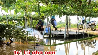 Tiếp Tục Lần Hai Ka Vlong Bị Tư Cà Khịa Chơi Vố Này Qúa Nặng