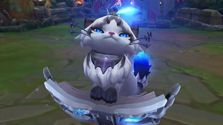 [Yuumi EDG Champion Skin] Đây có phải là chú mèo vải cao quý có phép thuật không?