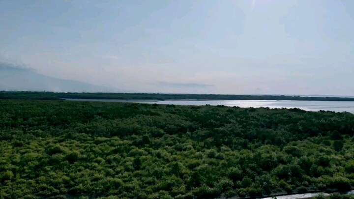 Drone View