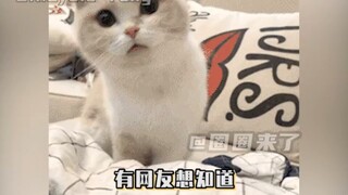 ห้ามเล่นข้างนอกแล้ว! รีบกลับบ้านเร็วเข้า