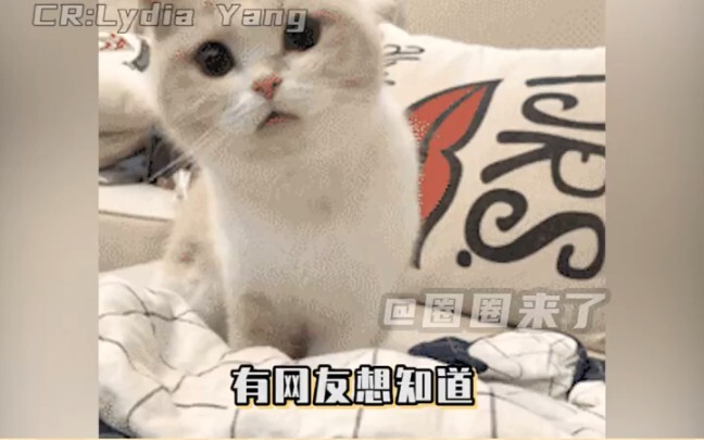 不许在外面玩了！快点回家