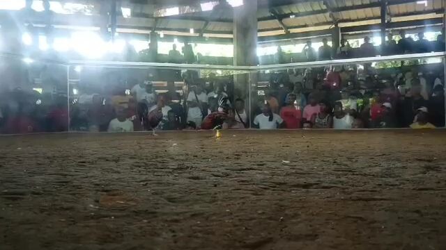 second fight lose again nasa araw tayo ng walang bwenas mga boss,,mga patay din ang mga kalaban nila