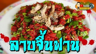 ลาบจี้นฟาน รางดีทอด ปรุงลาบด้วยพริกลาบสูตรลับ ร้านลูกป้านา ลำปาง