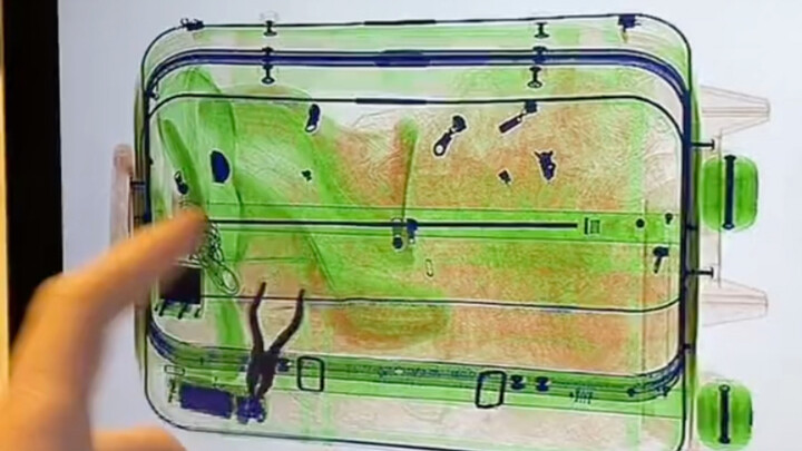 How Do Airport Security Agents Avoid Dealing with Passengers?