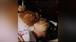 Sợ sen ngủ chói mắt nên tui giúp á mèo cute foryou Hello2022