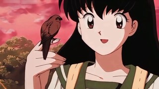 Ngay cả giun đất cũng sợ, nhưng Kagome thì không. Cô ấy là một thiên thần sưởi ấm cho người khác.