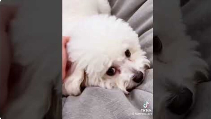 So cute