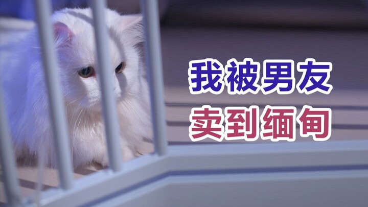 Aku dijual oleh pacarku ke pabrik mainan