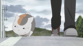 猫咪老师的搞笑日常-47