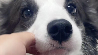 Why don’t we have a second child?