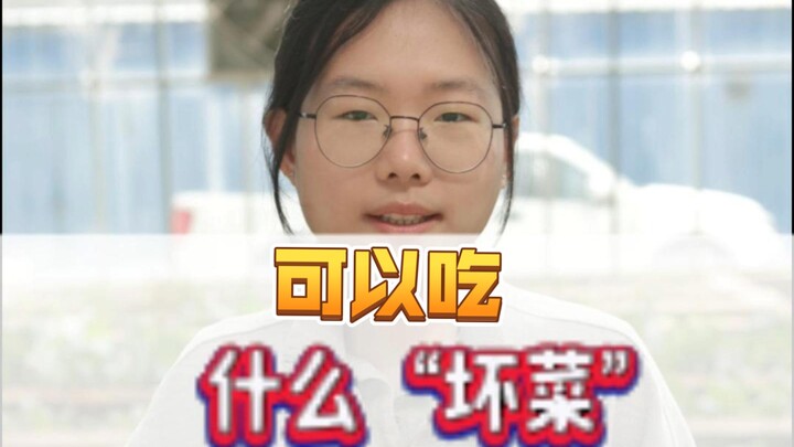 什么“坏菜”可以吃