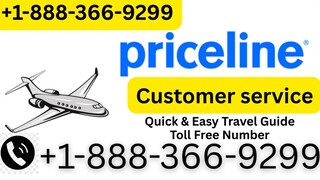 Complete List ]] of Official Priceline Helpline™️ Numbers in the usa the Detailed Guide