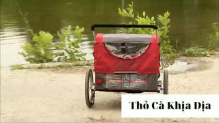 Funny prank 43 #thobiettroll