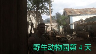 野生动物园第 4 天