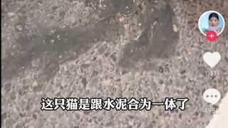 基米笑传之大货车你怎么这么坏