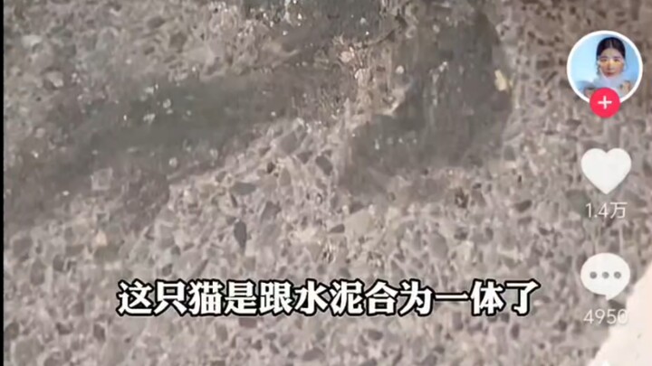 基米笑传之大货车你怎么这么坏