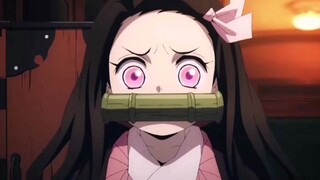 ❤The cute little Nezuko ❤