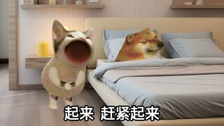 全国男生的统一速度，快告诉你男友