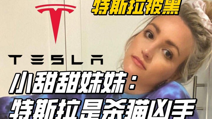 Em gái Tiểu Thiên Thiên tố Tesla là hung thủ giết mèo, nhưng diễn biến sau đó lại...