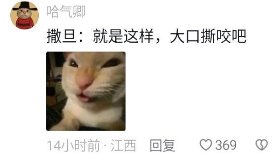 Host: I haven’t even had time to forgive the little cat yet 🥶