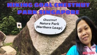 HIKING GOAL || CHESTNUT PARK SINGAPORE