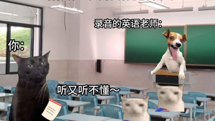 当你听到英语听力前奏时