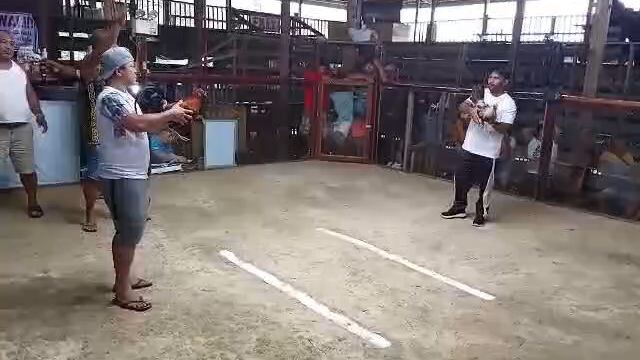 2hits ulotan 1st fyt win...pang 4x win na Ng Visaya line ko 🤣