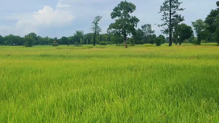 เกษตรกร เกษตรกรรม