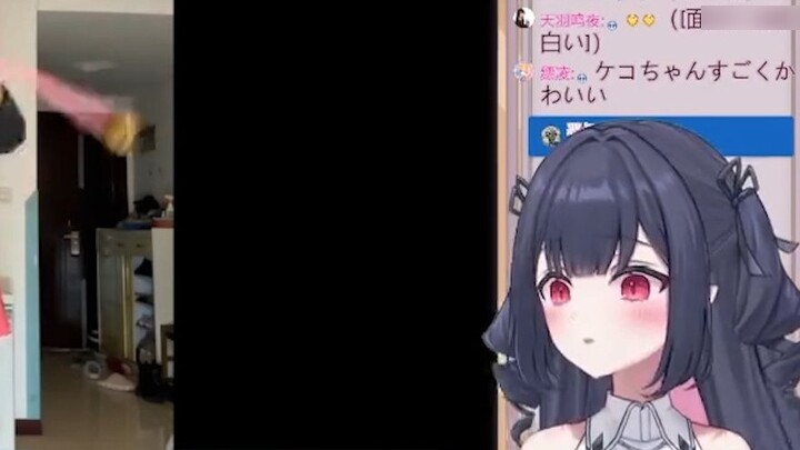 Newcomer Day V Watch "The Magic Tutorial That Sakura All Over the World Are Waiting For Is Here"