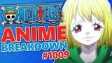 Past, Present and FUTURE! One Piece Episode 1009 BREAKDOWN