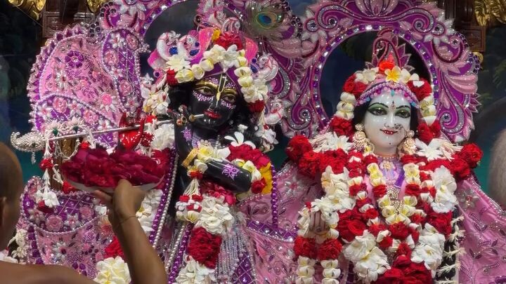 radhe krishna ki video