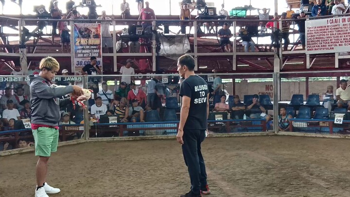 1ST FIGHT FIGBA ELIMINATION (DAY CHAMP)