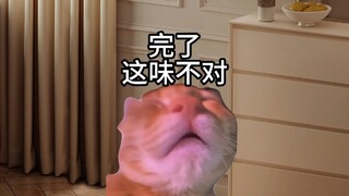 男女生的各种不同