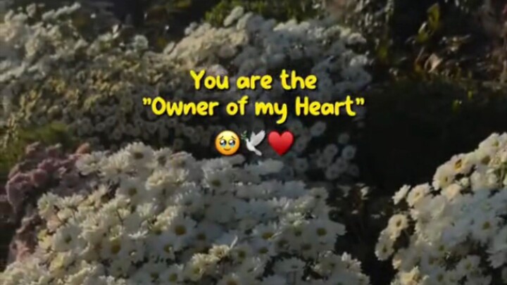 you are my ♥ heart