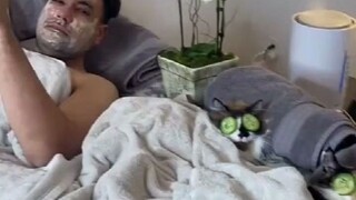 ภาคต่อของแมวกับคุณพ่อทำสปา: คราวนี้แมวสามตัวพร้อมใจกันมา แถมยังมีการอาบน้ำฟองสบู่และนิทานก่อนนอนด้วย