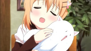 万恶之源出处 逮虾户 阿帕茶 洗脑神曲猫尾草