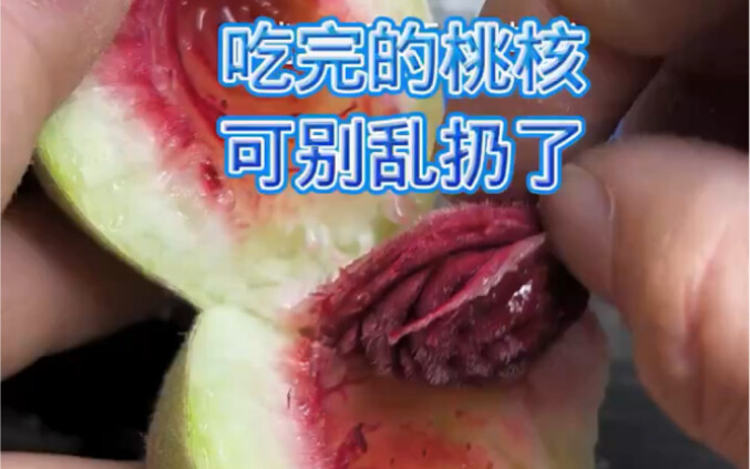 Hột đào sau khi ăn xong còn có thể chạm khắc, bạn tin không?