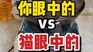 你以为的VS猫眼里的，到底有多离谱？