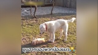 แกล้งตัวเองซะงั้น😂