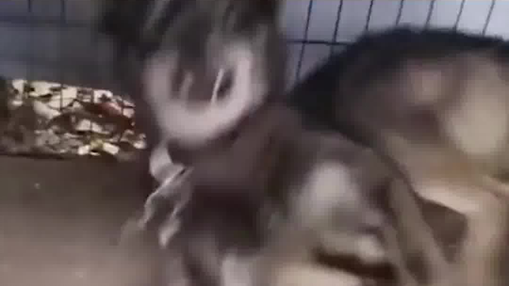 Holy shit
