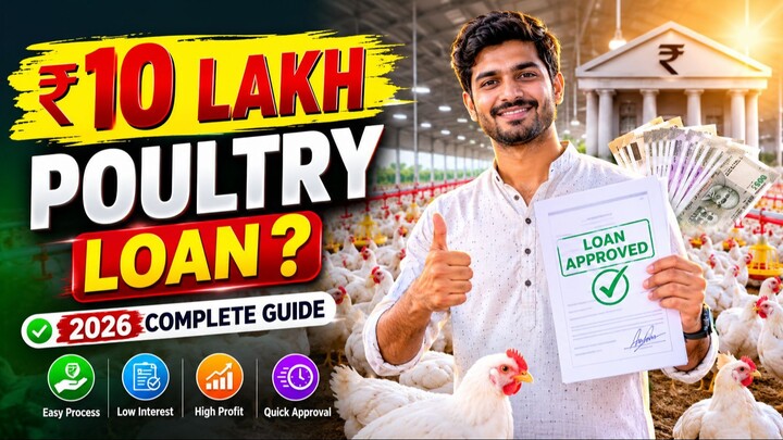 Poultry Farm Loan in India 2026 | How to Get ₹10 Lakh Loan for Poultry Farming