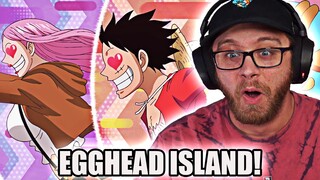 EGGHEAD ISLAND IS HERE! One Piece Episode 1091 Reaction!