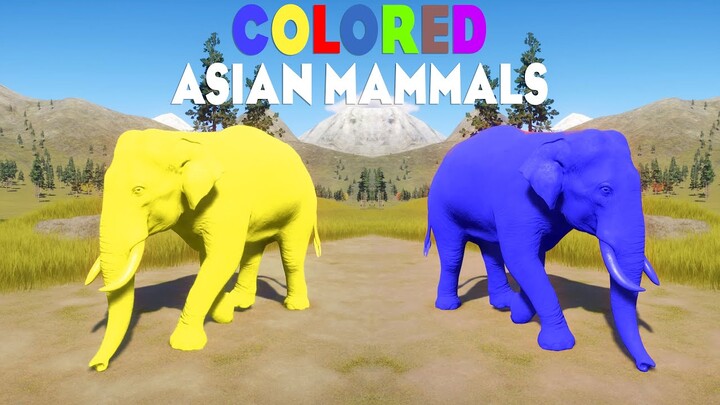 Indian Elephant Colored Asian Mammals Animals Races in Planet Zoo included Bengal TIger, Camel & etc