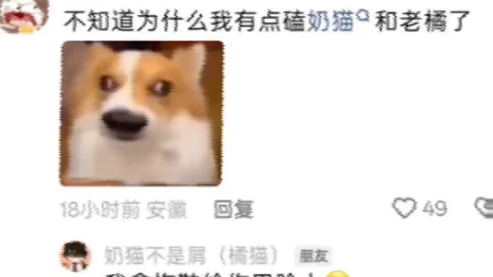 【ks น้องแมวนมไม่ใช่คนไร้ค่า】วิดีโอล่าสุดมาแล้ว รีบเข้ามาดูกันเลย!