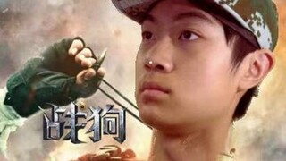 Chó chiến
